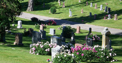 McDonald and Son Funeral Home